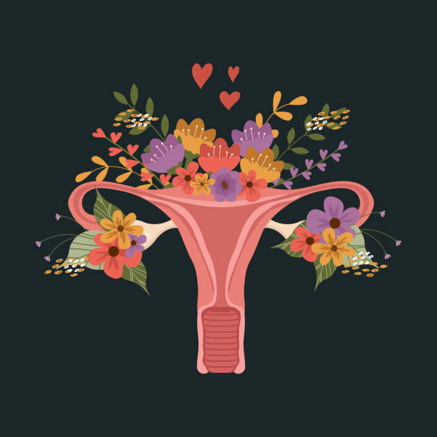 The Womb Massage Ritual